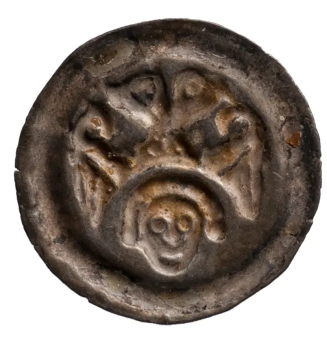 Herzöge von Österreich: Zeit Friedrichs II. (ca. 1230–1250)