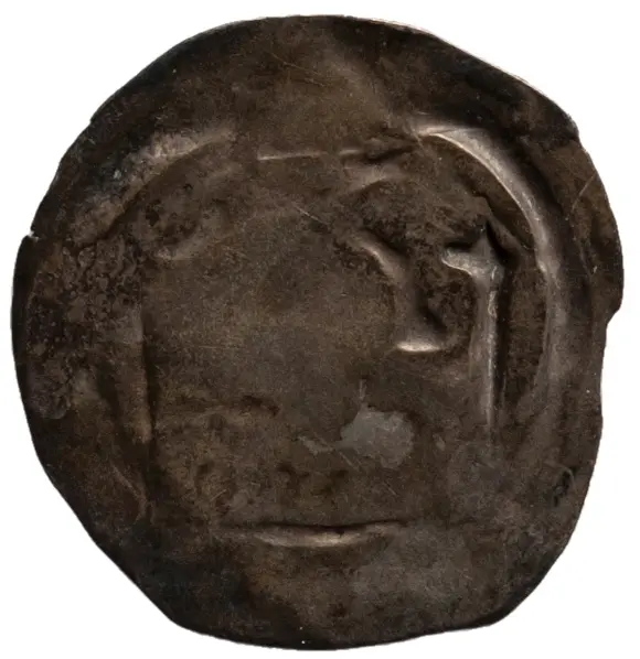 Herzöge der Steiermark: Rudolf III. (1298–1306)