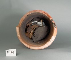 Ibismumie in kegelförmigem Tongefäß