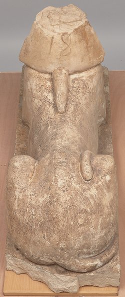 Serapeumssphinx