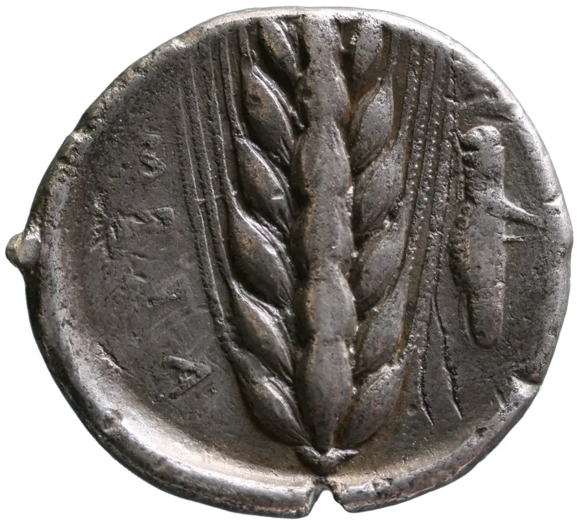 Metapont