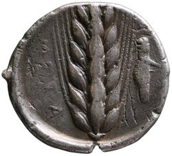 Metapont