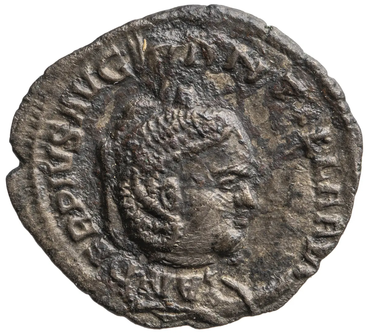 Dryantilla