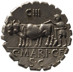Röm. Republik: C. Marius Capito