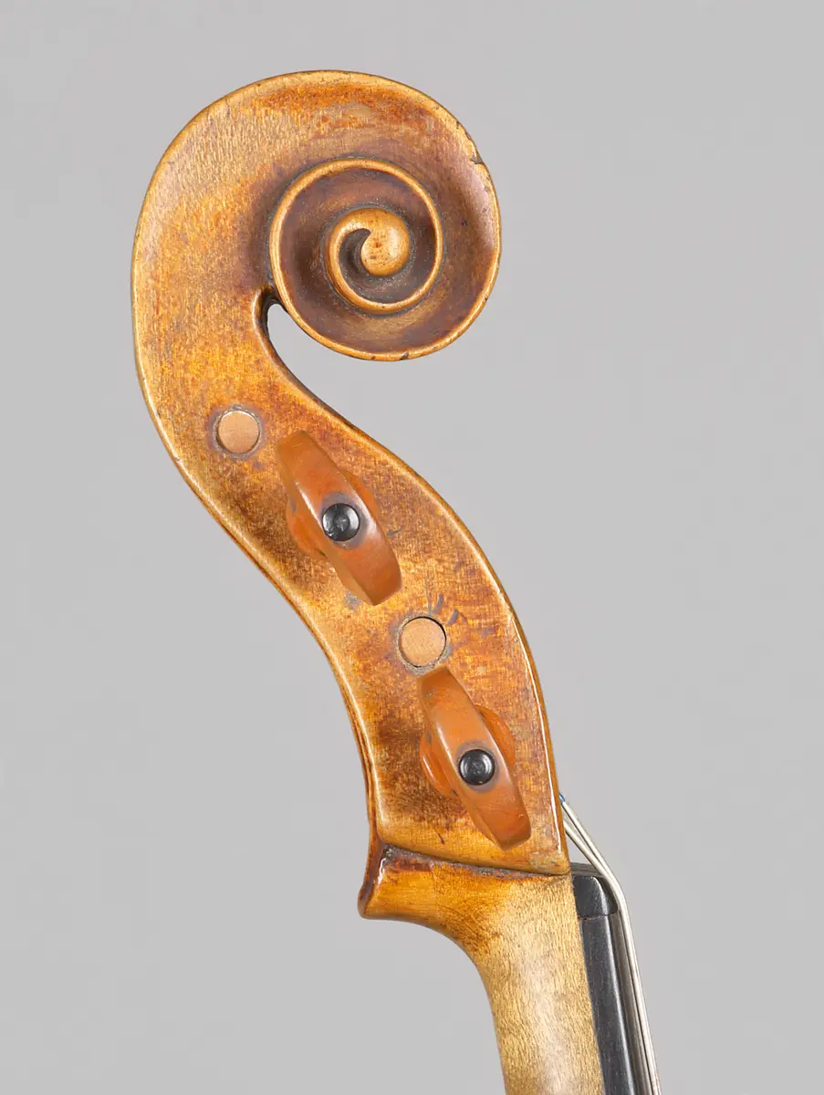 Viola