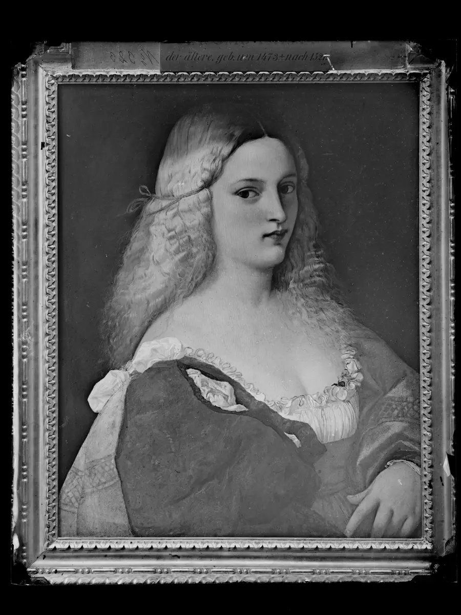 Violante