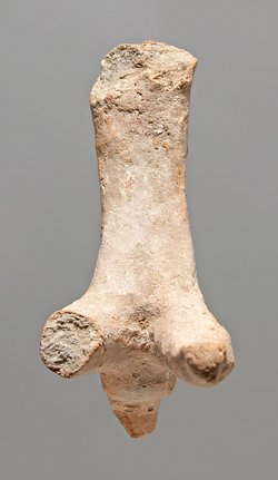 Kamelstatuette