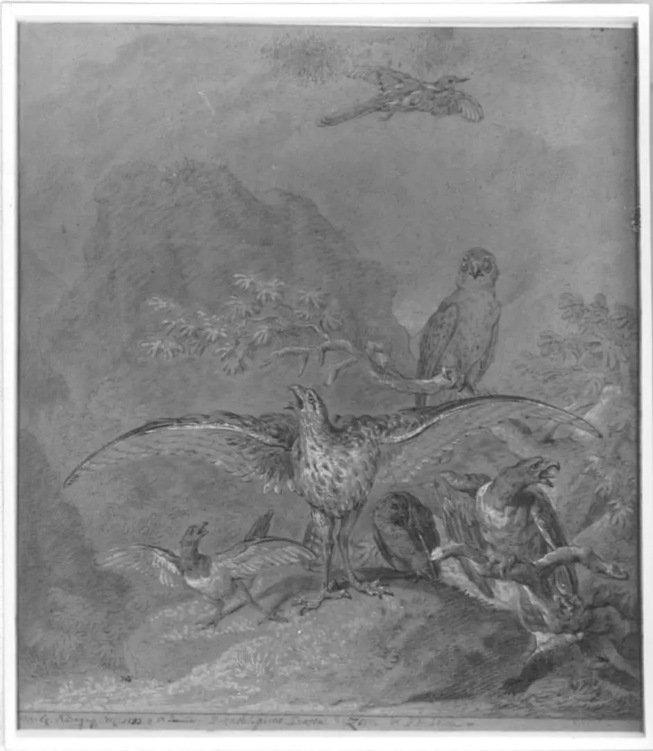 Raubvogel