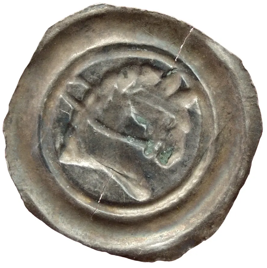 Herzöge von Kärnten / Herren von Krain: Ottokar II. (1270–1276)