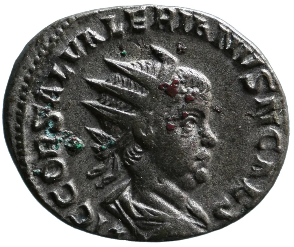 Saloninus