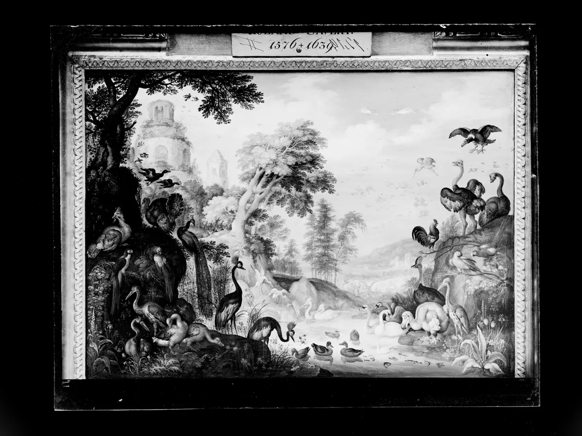 Landschaft mit Vögeln