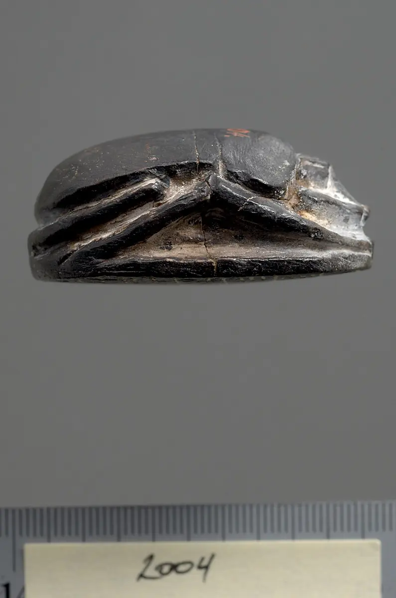 Herzskarabäus