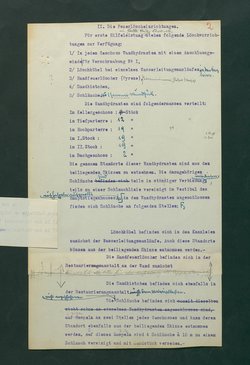 Entwurf einer Feuerlöschordnung für das Kunsthistorische Museum, 1926