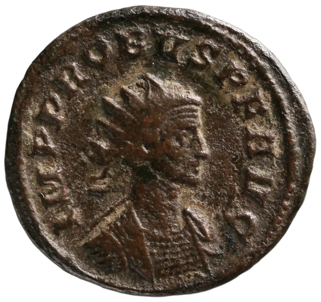 Probus