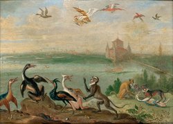 Ansichten aus den vier Weltteilen mit Szenen von Tieren: Boa Vista