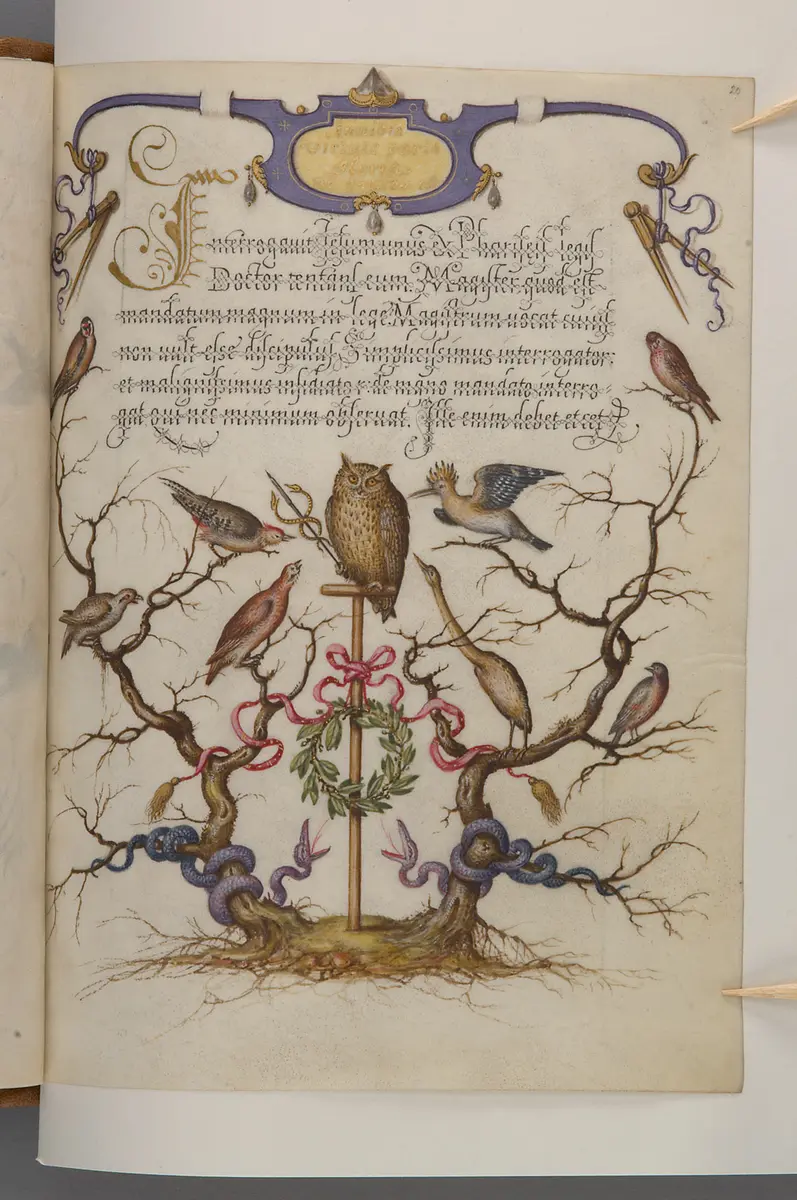 Schriftmusterbuch; 127 Blatt Pergament