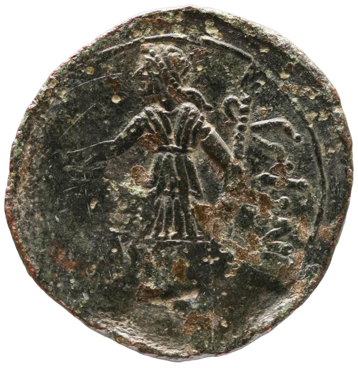 Venusia