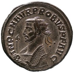 Probus