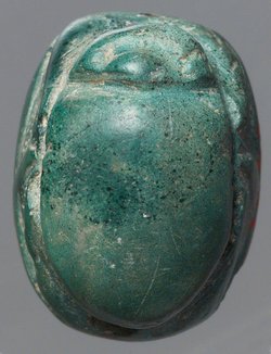 Stier wird von Löwen angegriffen