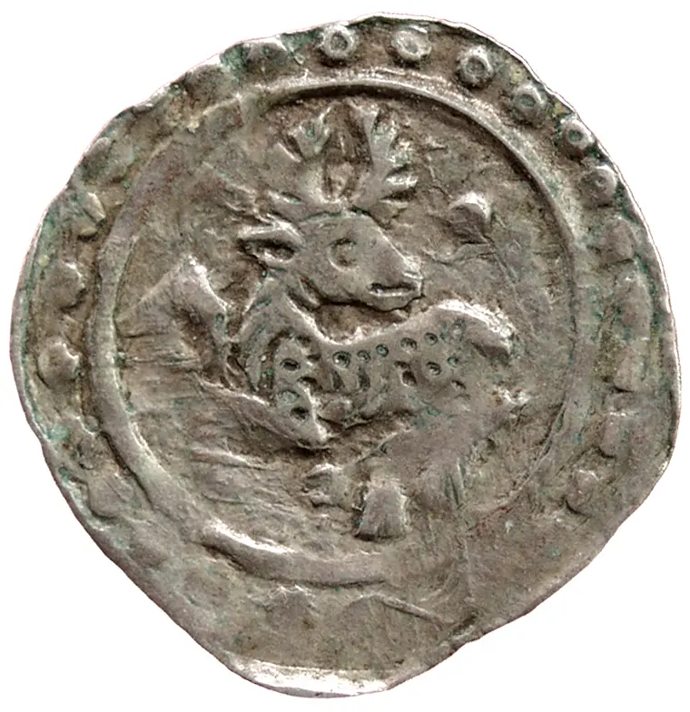 Herzöge von Kärnten / Herren von Krain: Bernhard (1202–1256)