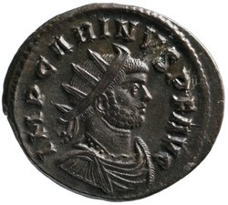 Carinus