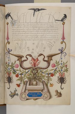Schriftmusterbuch; 127 Blatt Pergament