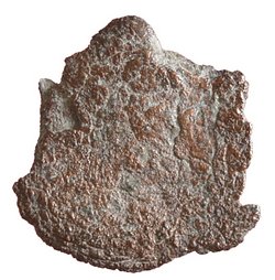 Constantius II. oder Iulianus III.