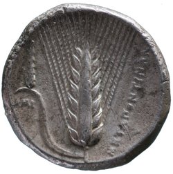 Metapont