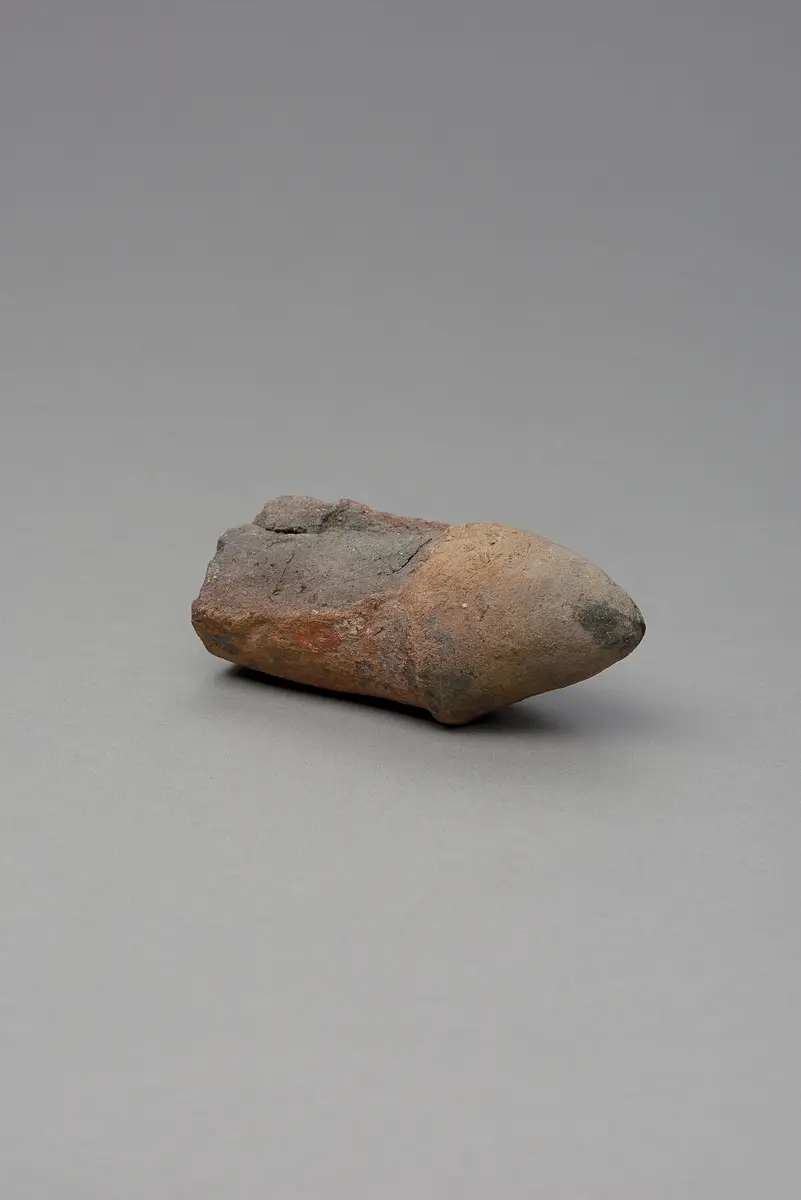 Phallus, fragmentiert