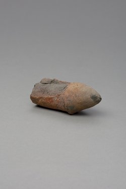 Phallus, fragmentiert