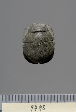 Mumienskarabäus