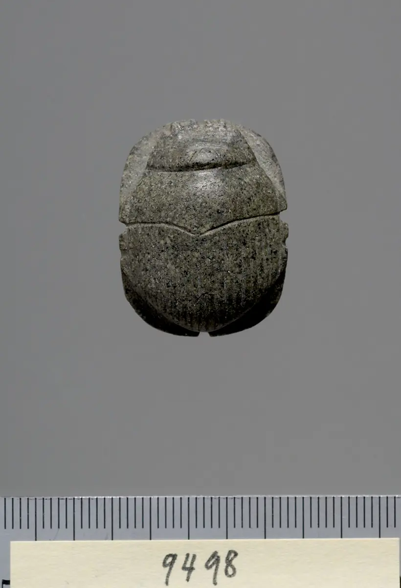 Mumienskarabäus
