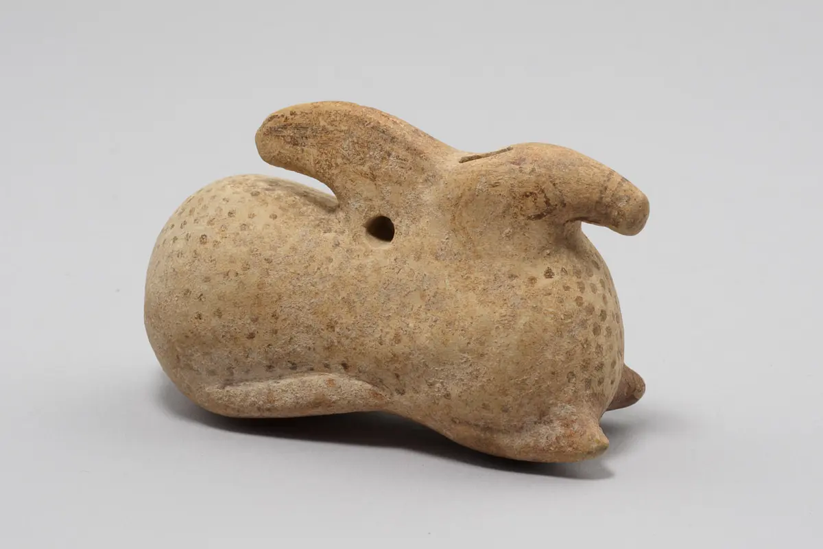 Hase