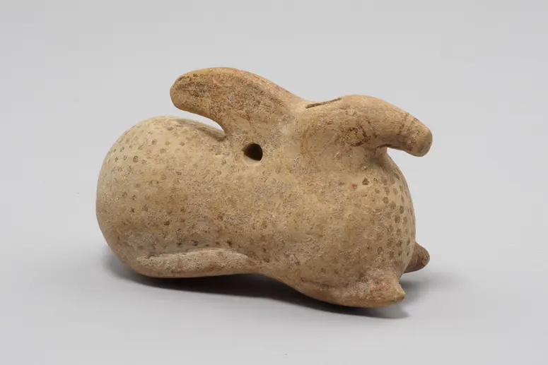 Hase