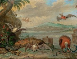 Ansichten aus den vier Weltteilen mit Szenen von Tieren: Cartagena (Kolumbien)