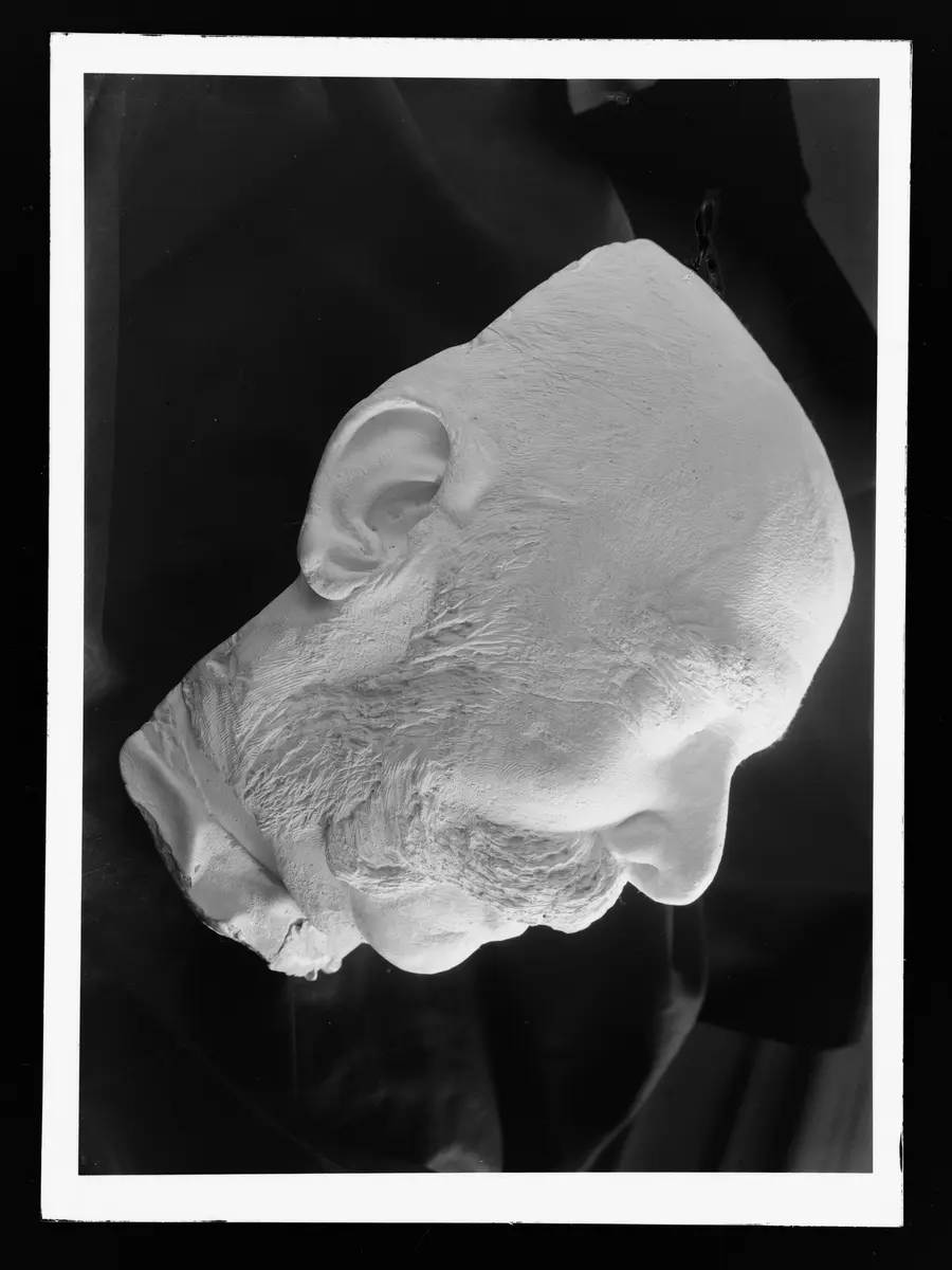 Totenmaske Kaiser Franz Joseph