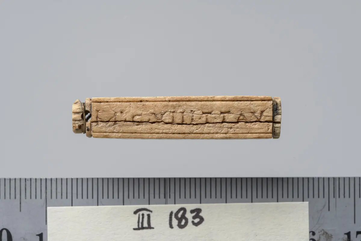Tessera nummularia