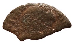 Constantius II.