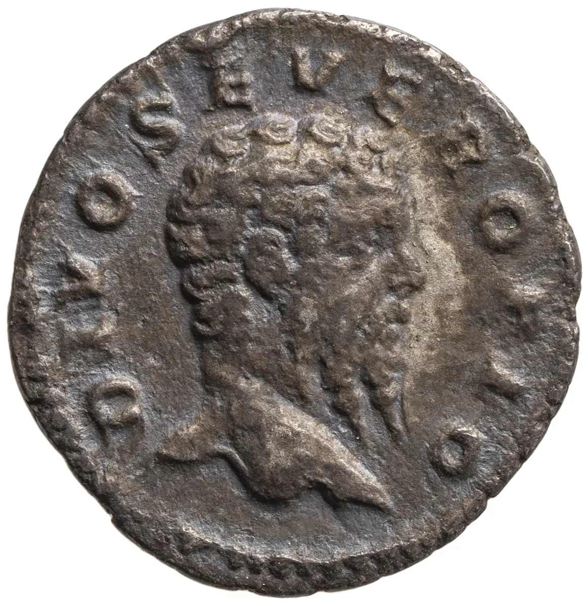 Divus Septimius Severus