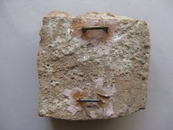 Fragment einer Kelterungsszene: Doppelflöte blasender Satyrknabe