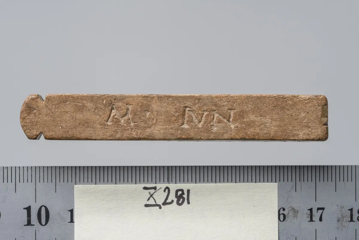 Tessera nummularia