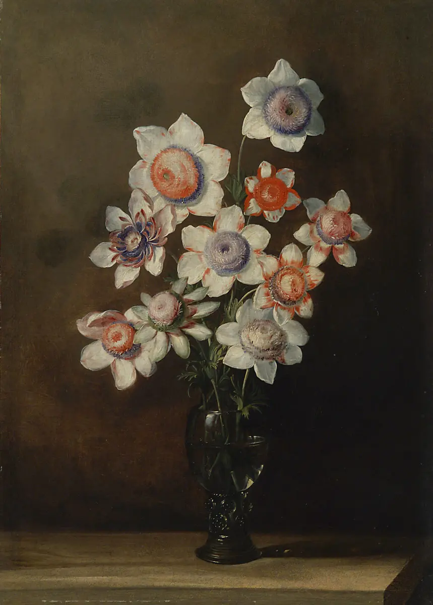 Glas mit Anemonen