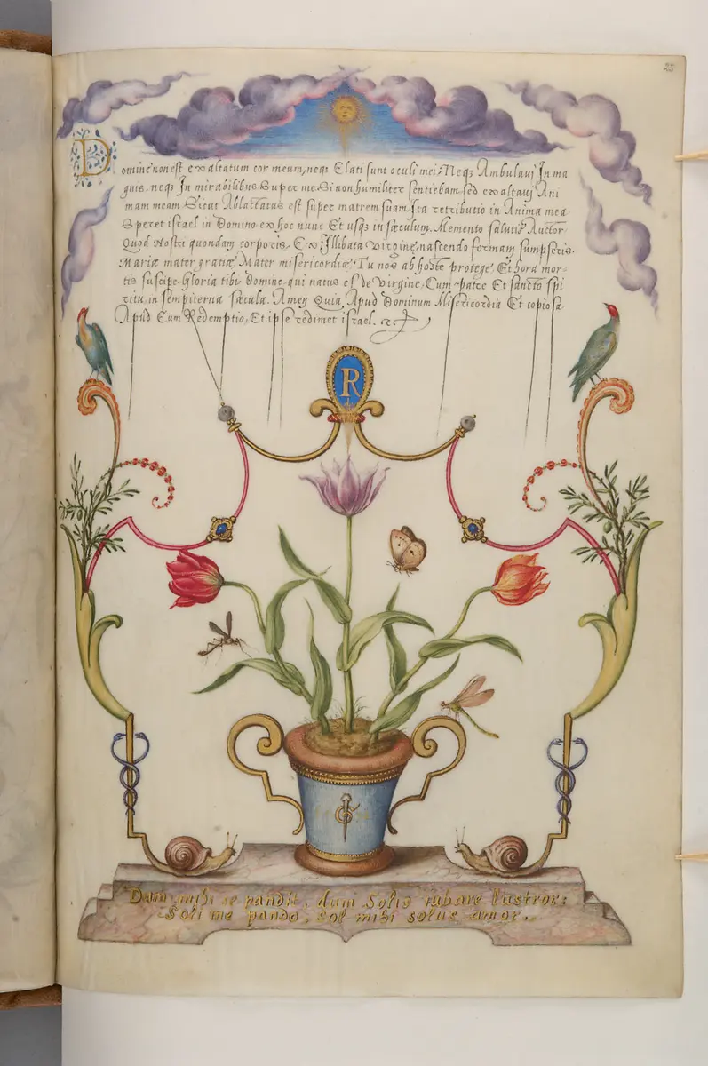 Schriftmusterbuch; 127 Blatt Pergament