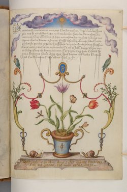 Schriftmusterbuch; 127 Blatt Pergament