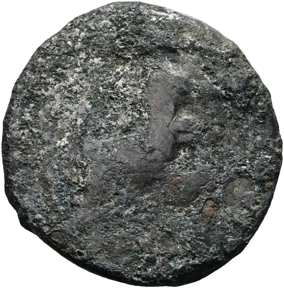 Vespasianus (Falsum)