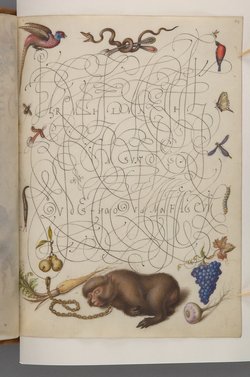 Schriftmusterbuch; 127 Blatt Pergament