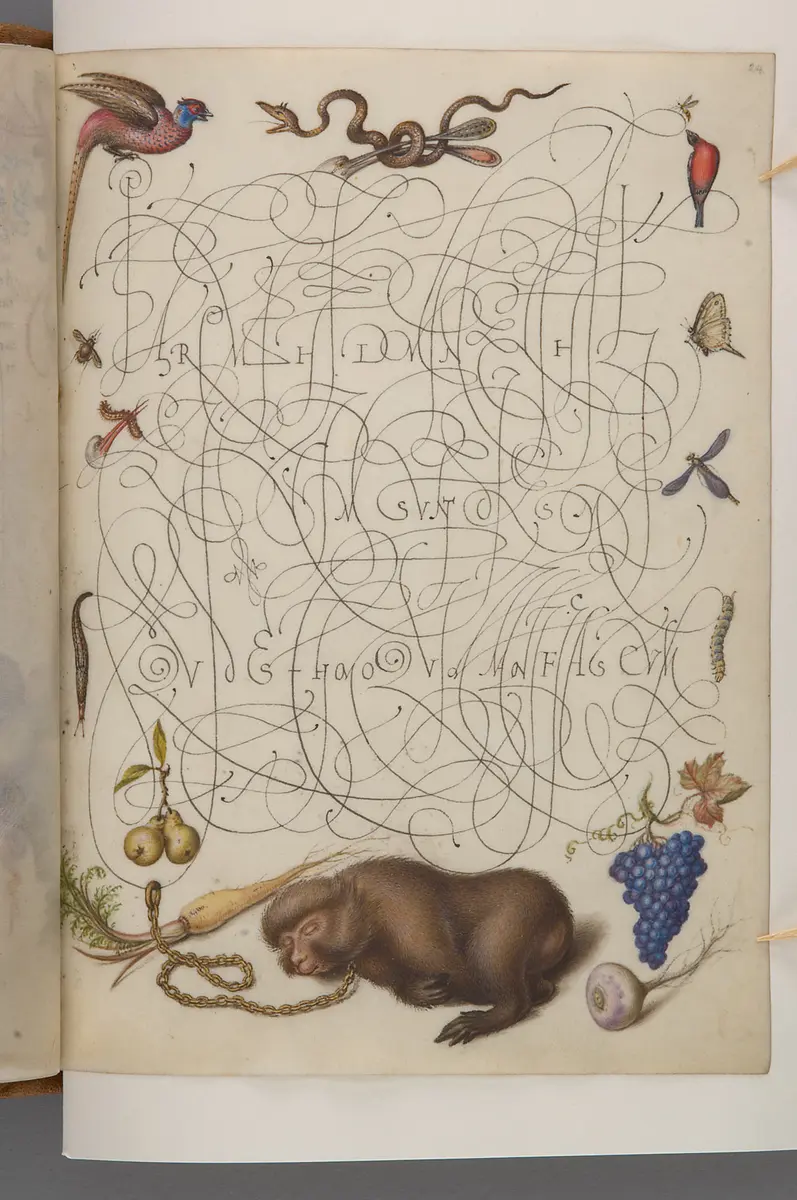 Schriftmusterbuch; 127 Blatt Pergament