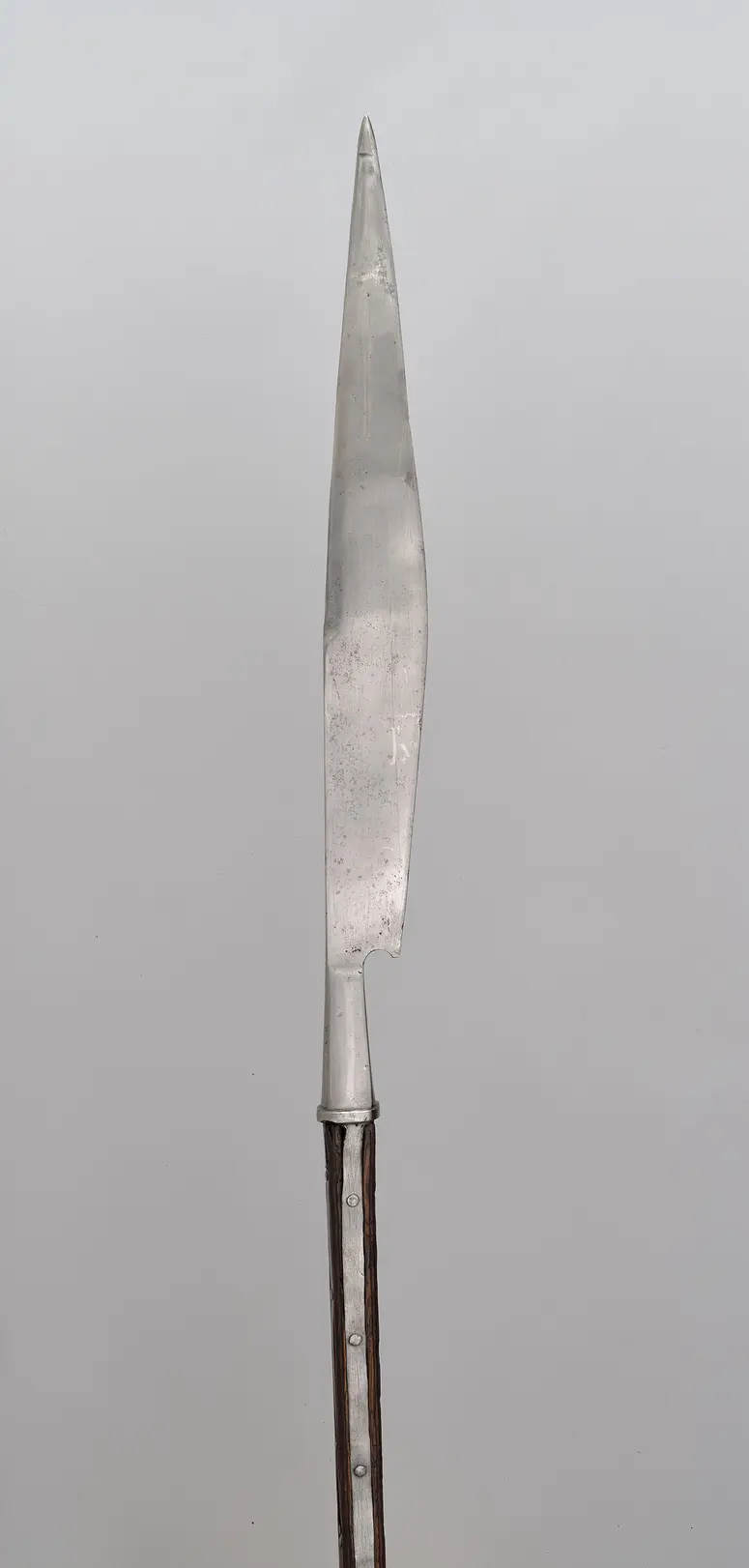 Gardekuse