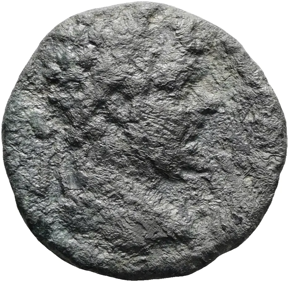 Septimius Severus (Falsum)