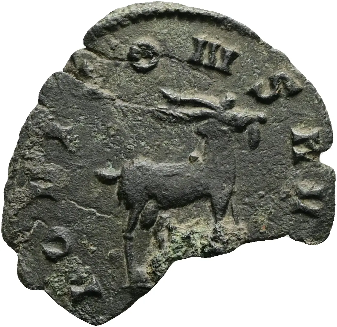 Münze